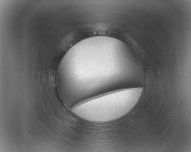 X0000082180661200701191054