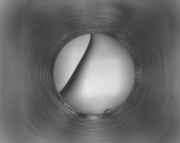 X0000082180662200701191054