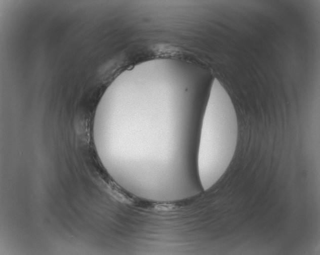 X0000082180666200701191054