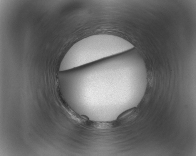 X0000082180670200701191054