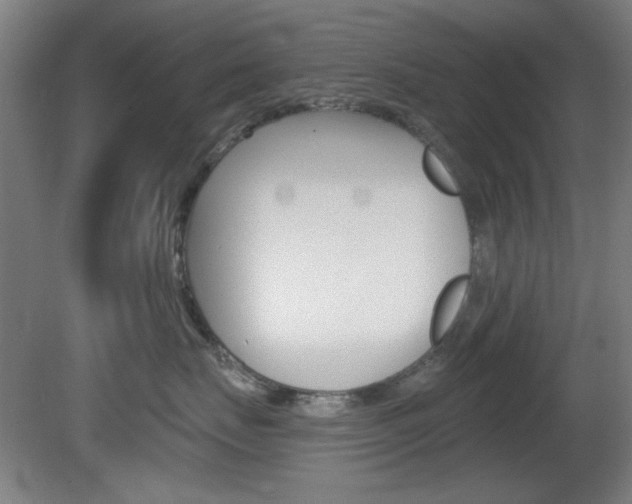 X0000082180671200701191054