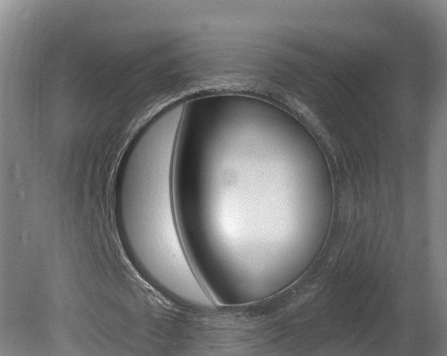 X0000082180673200701191053