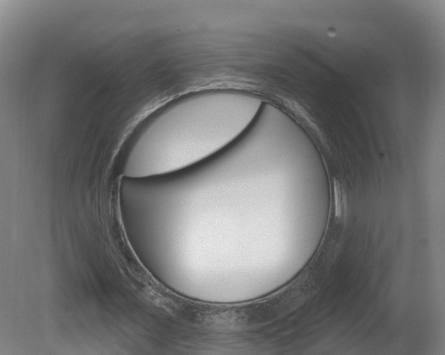X0000082180675200701191053