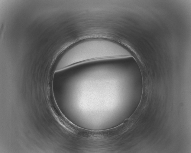 X0000082180677200701191053
