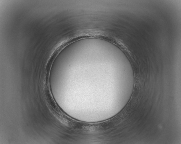 X0000082180679200701191053