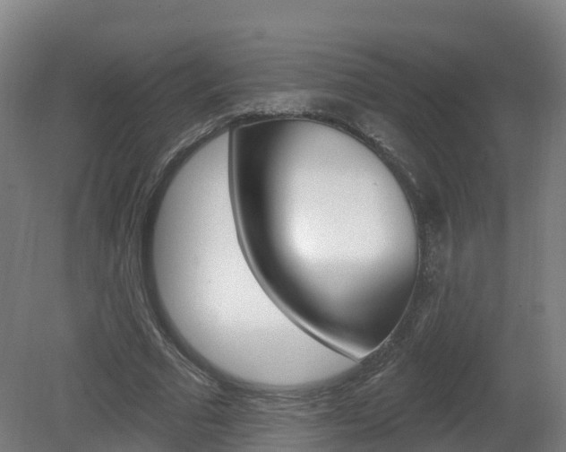 X0000082180681200701191053