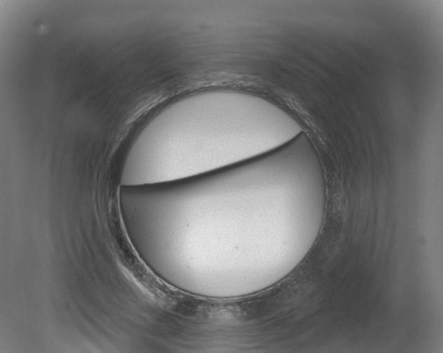X0000082180683200701191053