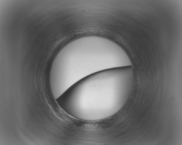 X0000082180690200701191053