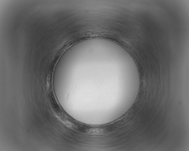 X0000082180691200701191053