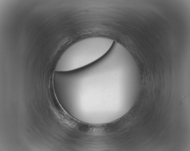 X0000082180694200701191053