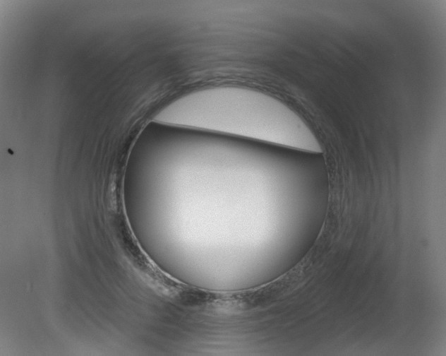 X0000082180696200701191053