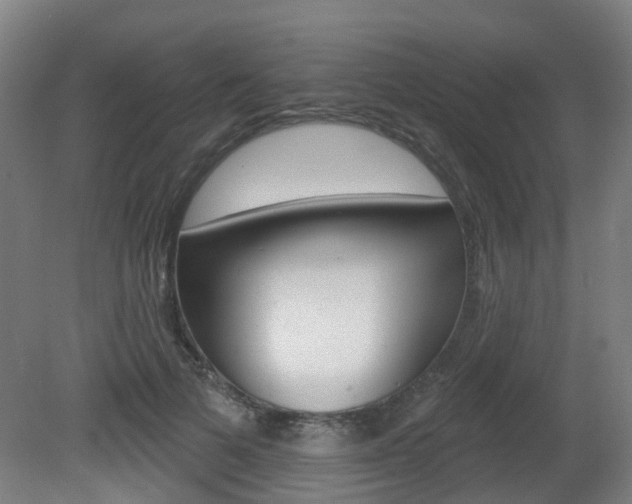 X0000082180697200701191053