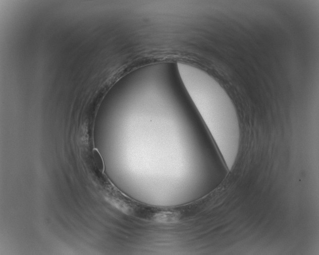 X0000082180700200701191053