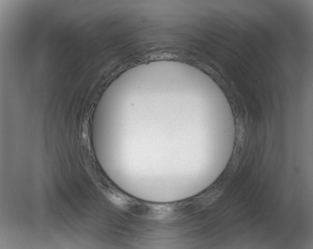X0000082180701200701191053