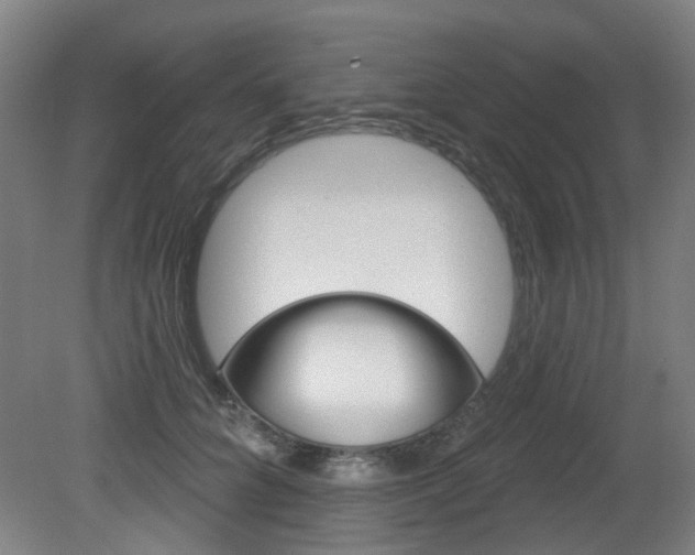 X0000082180704200701191053