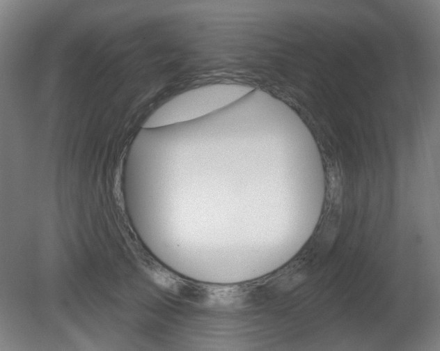 X0000082180705200701191053