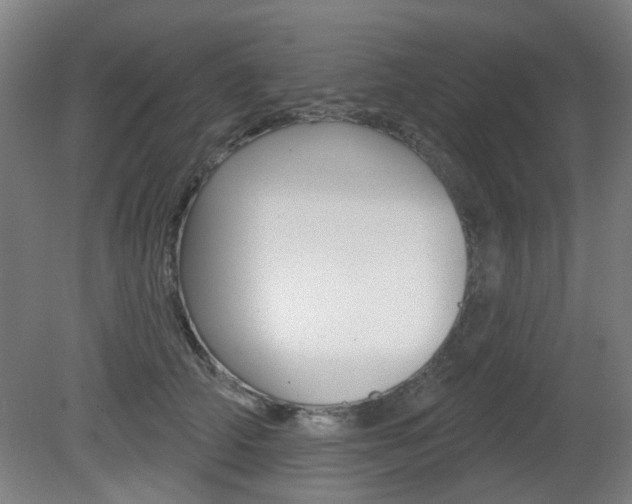 X0000082180706200701191053