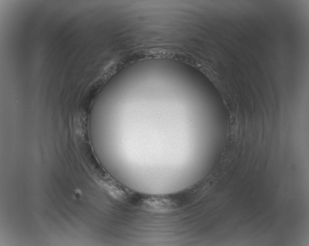 X0000082180712200701191053