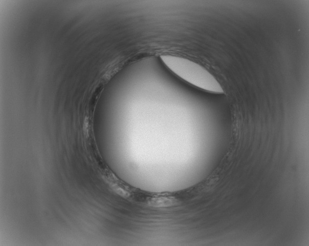 X0000082180716200701191052