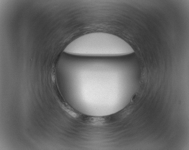 X0000082180719200701191052