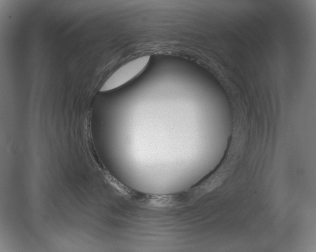 X0000082180720200701191052