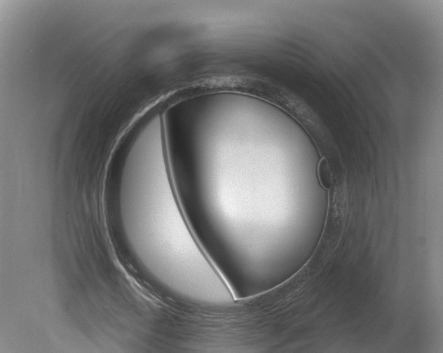 X0000082180722200701191052