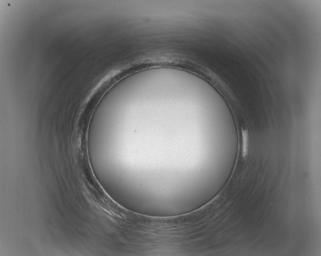 X0000082180723200701191052