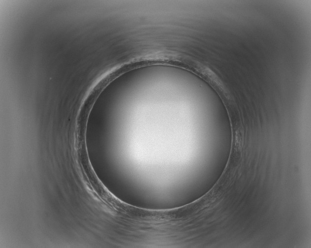 X0000082180724200701191052