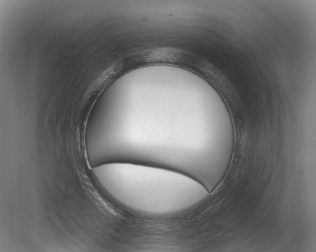 X0000082180729200701191052