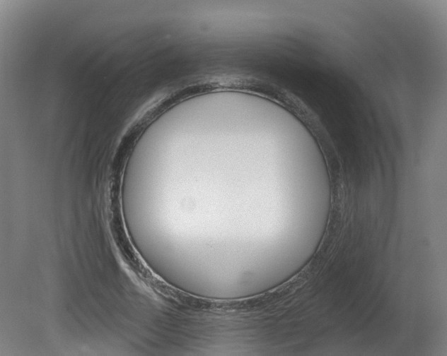 X0000082180730200701191052