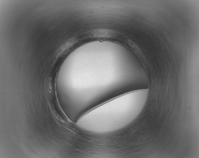 X0000082180731200701191052
