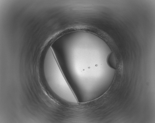 X0000082180732200701191052