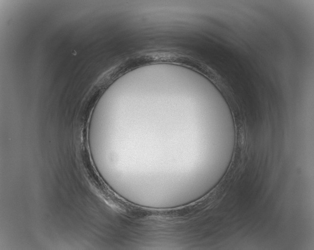 X0000082180733200701191052