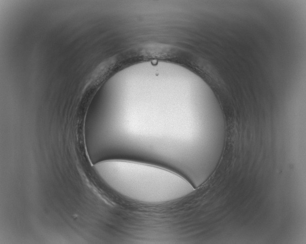 X0000082180738200701191052