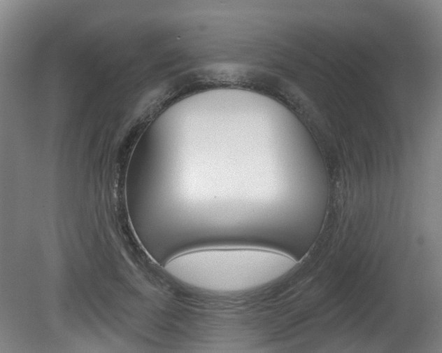 X0000082180739200701191052