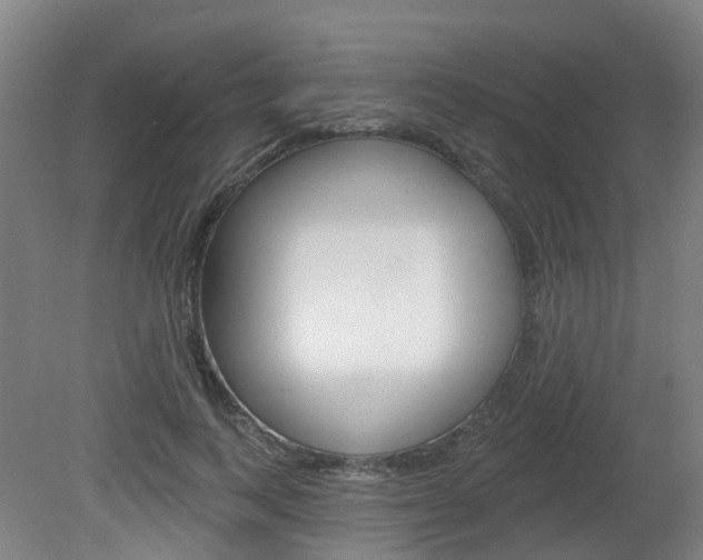 X0000082180743200701191052
