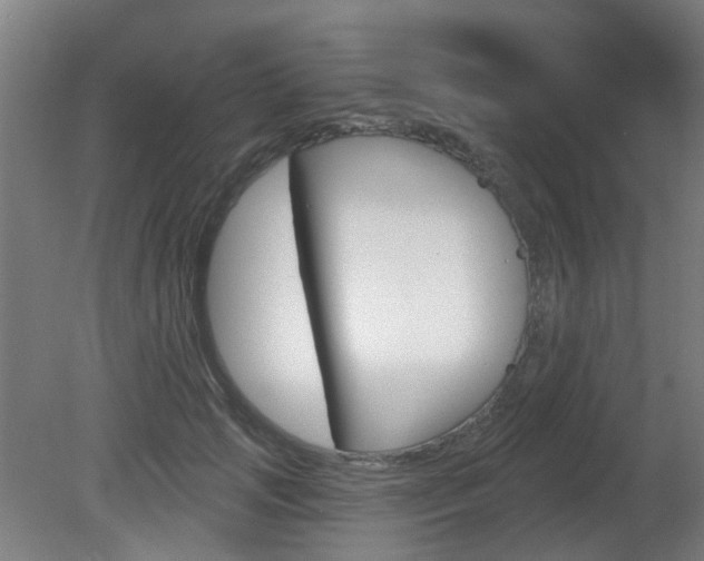 X0000082180749200701191052