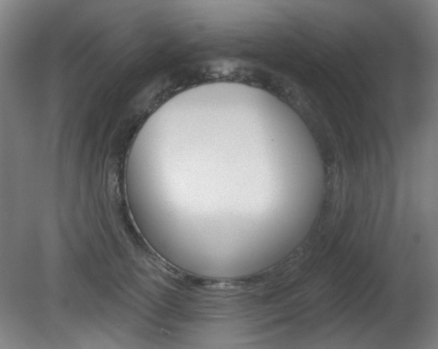 X0000082180754200701191052