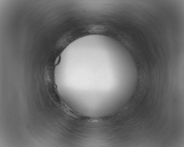 X0000082180755200701191052