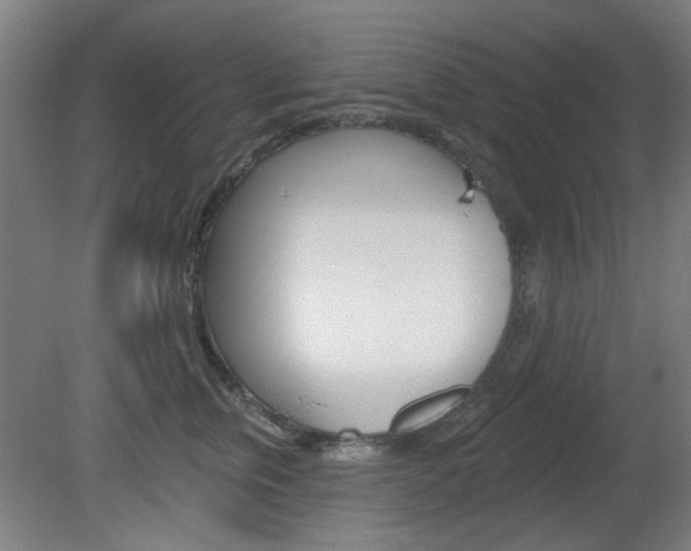 X0000082180759200701191052