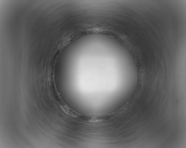 X0000082180760200701191052