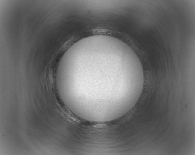 X0000082180761200701191052