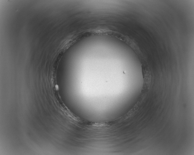X0000082180762200701191052