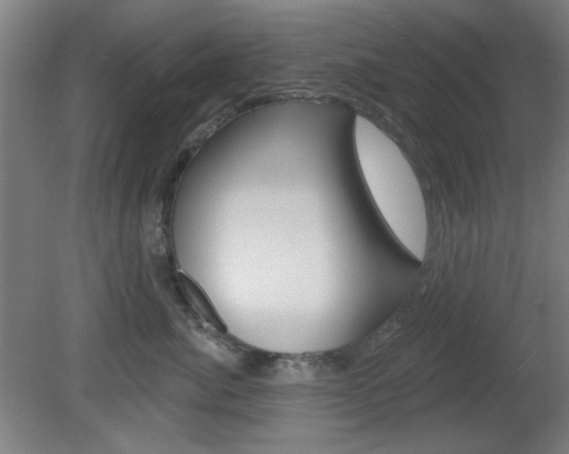 X0000082180764200701191052