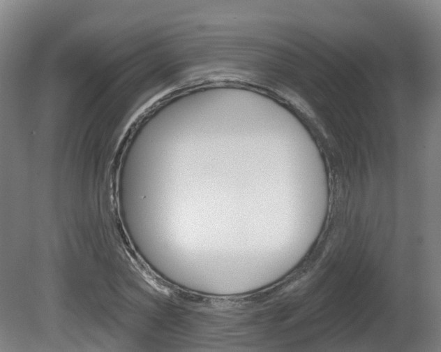 X0000082180782200701191051