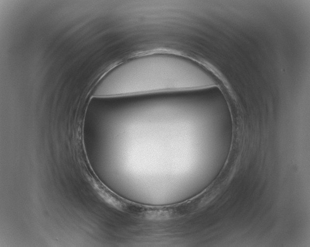 X0000082180793200701191051