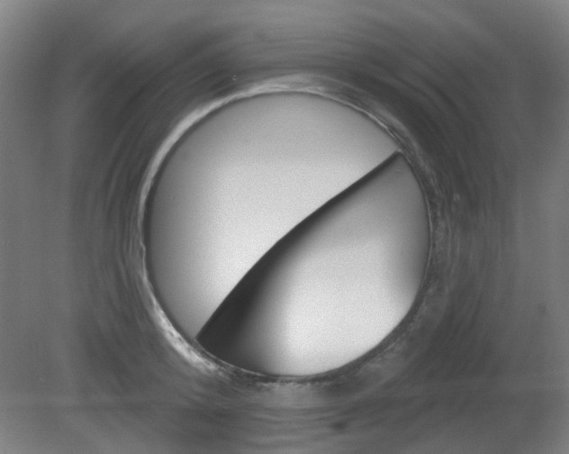 X0000082180800200701191051