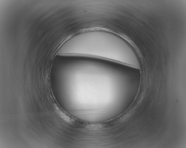 X0000082180801200701191051