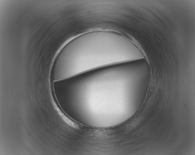 X0000082180803200701191051