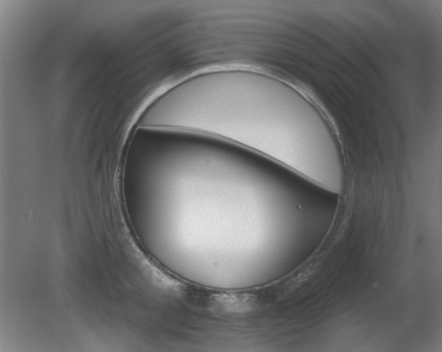 X0000082180805200701191051